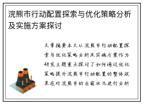 浣熊市行动配置探索与优化策略分析及实施方案探讨