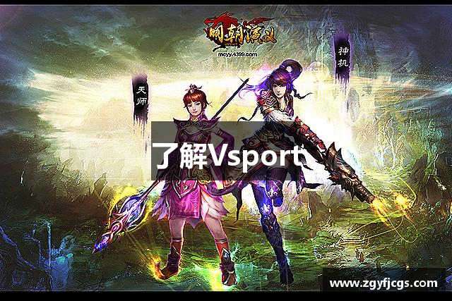 了解Vsport